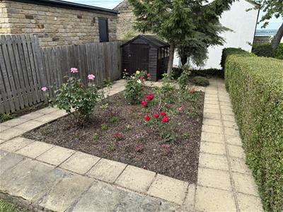 Picture 15